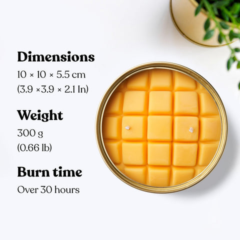 Mango Bowl Candle (scent mango)