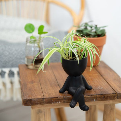 Flower Pot Guy Legs Crossed Black