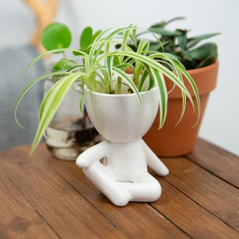 Flowerpot Guy Chilling White