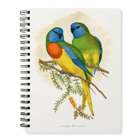 Splendid Parrakeet Notepad