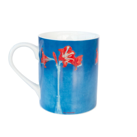 Mug , Piet Mondriaan, Amaryllis