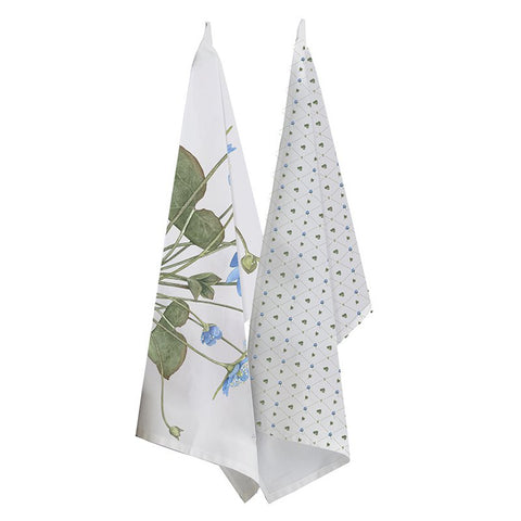 Organic tea towel - Blue anemone