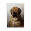 Poster - Head of a Leonberger