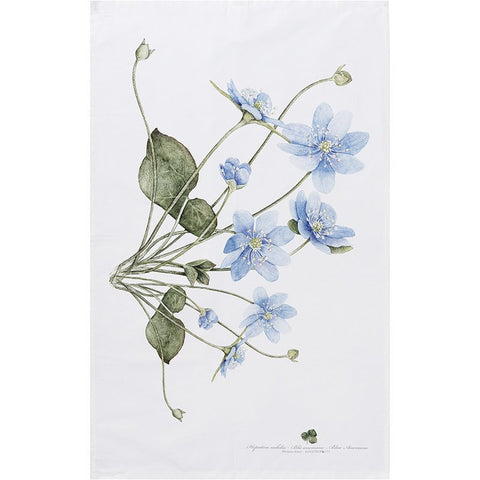 Organic tea towel - Blue anemone