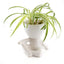 Flowerpot Guy Chilling White